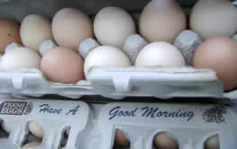 Maywood Farm Fresh Eggs